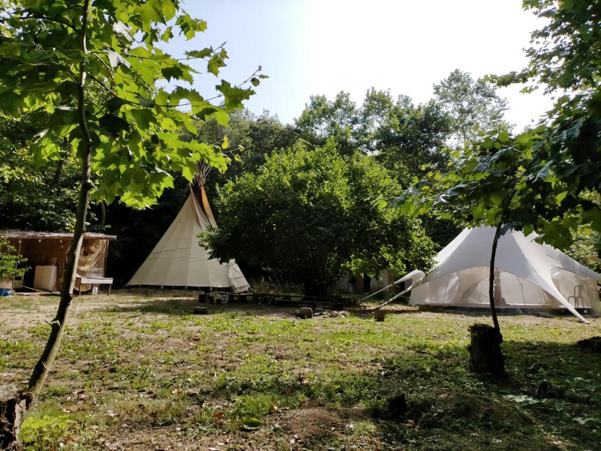 Albergue Del Oso Tierraluz Arbúcies Extérieur photo