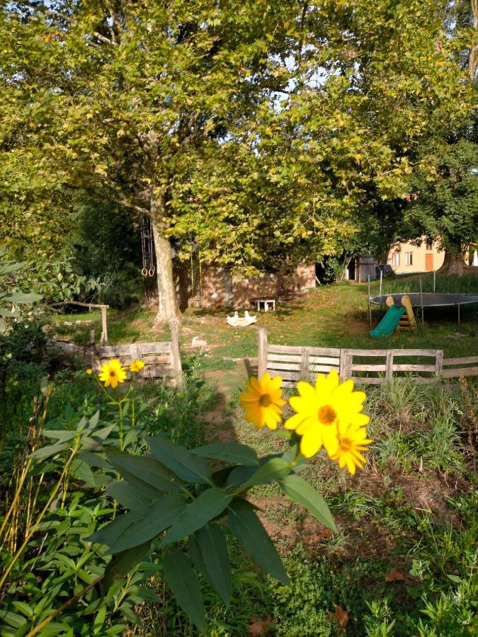 Albergue Del Oso Tierraluz Arbúcies Extérieur photo
